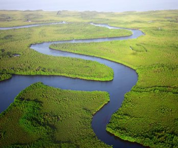 A deep blue river meandering through a lush green rainforest, taken from above.