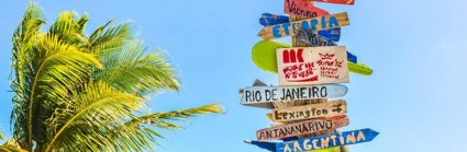 A stack of signs each with a country or city name written on them stand next to a plam tree and before clear sky