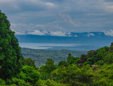 African rainforest with sea and mountains in background.