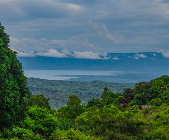 African rainforest with sea and mountains in background.