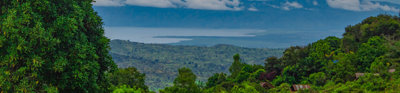 African rainforest with sea and mountains in background.