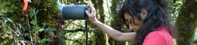 A researcher with testing equipment in a forest.