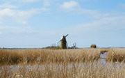 A river running through a dried field and a windmill in the background.