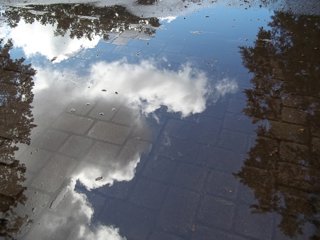 Figure 3: Even a puddle is a blue space - pubble showing a reflection of the cloudy sky