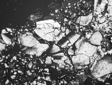 Black and white photograph of melting sea ice as seen from above. 