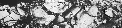 Black and white photograph of melting sea ice as seen from above. 