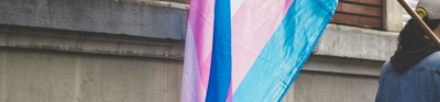A blue, pink, and white trans hangs via a flag pole is held by a person faced away from the viewer and partially cut out of frame.