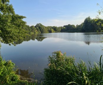 A body of water on a fine day