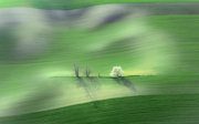 The rolling hills of the agricultural counties in South Moravia, Czechia.