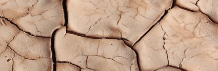 Dry, muddy ground that has broken up into a block pattern