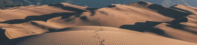 A trail of foot prints fade off into the expanse of the Kelso Dunes, United States.