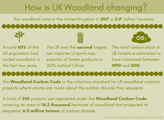 An infographic about forests