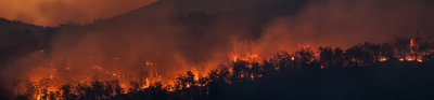 Forest fire at night with flames and smoky, orange hue.