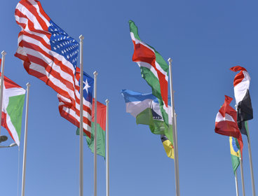 A selection of flags on poles, flying in the wind. The sky behind it is blue with no clouds