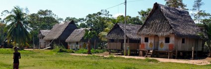 Young person walking across grass in front of a line of wooden houses surrounded by palm trees. 