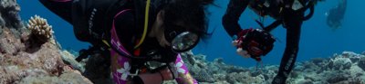Grant recipients scuba diving while surveying permanent quadrats to assess coral recruitment, growth and survival