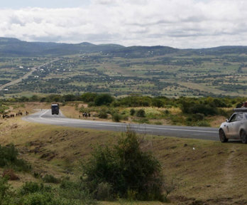 Car parked on a winding road, with herds of cows walking beside the road and a large expanse of open land in the distance.