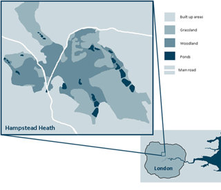 Location of Hampstead Heath Ponds