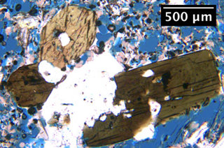 Amphibole crystals found in magma from the 2006 eruption of Augustine volcano