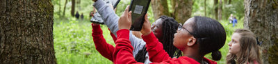 Students in a forest using digital tools to explore nature.