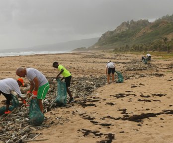 People participating in a beach cleanup, collecting a variety of other single use plastics that washed in with the tide.