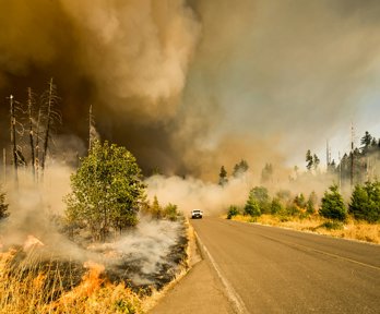 car driving away from a forest fire