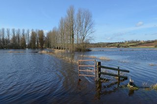 Somerset Levels