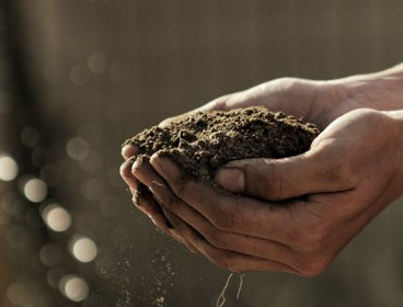 Hands holding a pile of soil