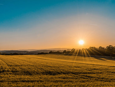 A field of grass surrounded by hills and trees in the background. The sun shines from the right hand side, emitting beams of light. 