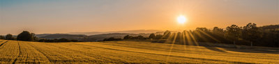 A field of grass surrounded by hills and trees in the background. The sun shines from the right hand side, emitting beams of light. 