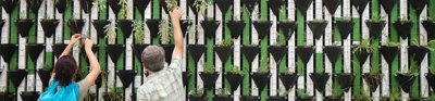 Two people planting plants in a wall with a hanging pots structure.