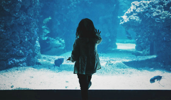 A young person with their hand up against the glass of a large aquarium.