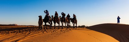 People riding on camels on expedition in the desert.