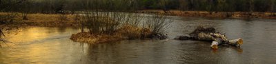 Flooding in a rural area