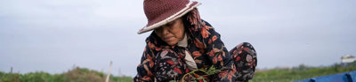 A person squatted while cultivating land next to a river delta.