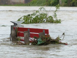 A red bench surrounded by flood water and floating vegetation