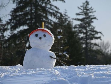A small snowman perched on a snowy hill, with a red peaked cap and stones for eyes and a nose, and sticks for arms