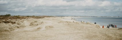 A sand dune formation in a beach