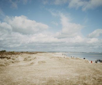 A sand dune formation in a beach