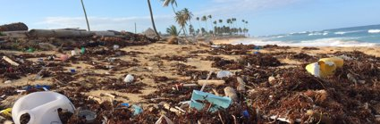 A beach scene with sand and palm trees, covered in plastic rubbish and old fishing nets