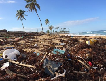 A beach scene with sand and palm trees, covered in plastic rubbish and old fishing nets