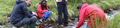 Group of pupils undertaking river fieldwork in a small stream.