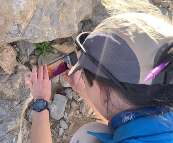 Person using a smartphone to take a photo of a plant nestled between rocks. 