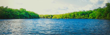 Calm body of water near tall trees