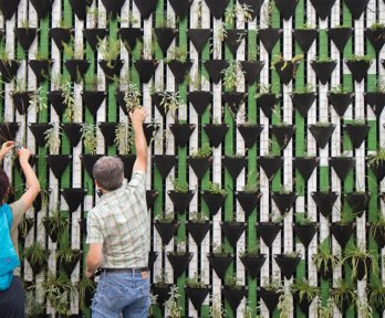 Two people planting plants in baskets arranged in horizontal lines on a wall