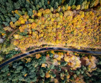 Aerial shot of cars driving along a road through a forest of trees
