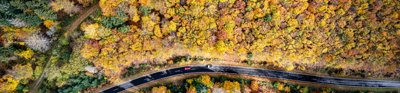 Aerial shot of cars driving along a road through a forest of trees