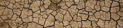 Dry soil covered by cracks and crevices