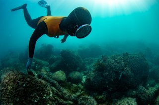 Diver inspecting a coral reef.