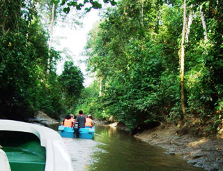 Tourists travel down the Kinabatangan River, Malaysia in order to reach villages in the rainforest
